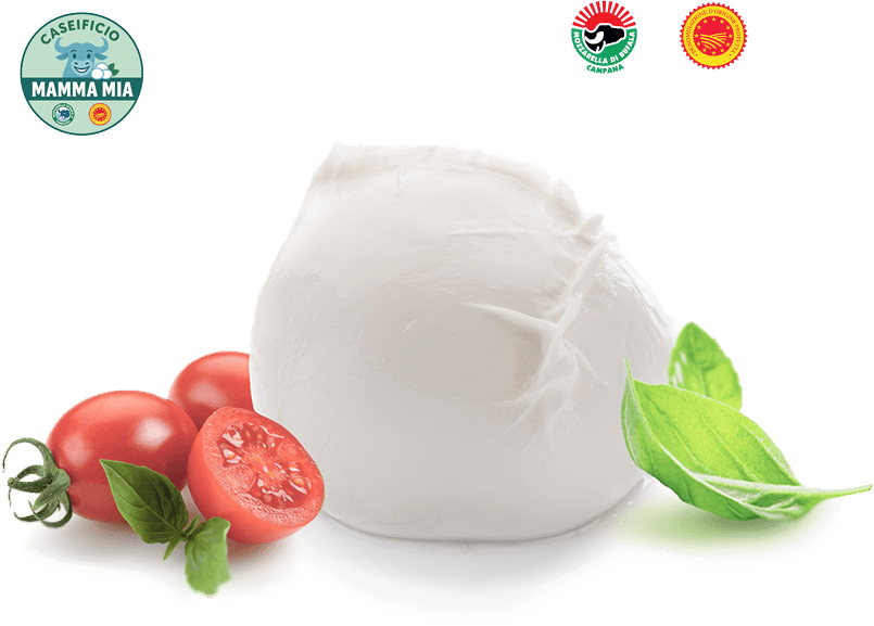 Mozzarella di Bufala